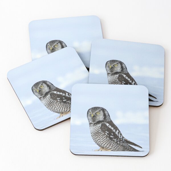 Item preview, Northern hawk owl portrait designed and sold by locustgirl.