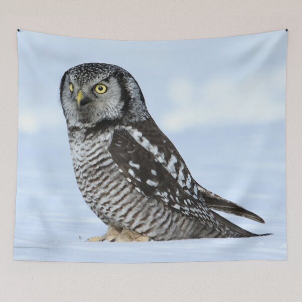 Item preview, Northern hawk owl portrait designed and sold by locustgirl.