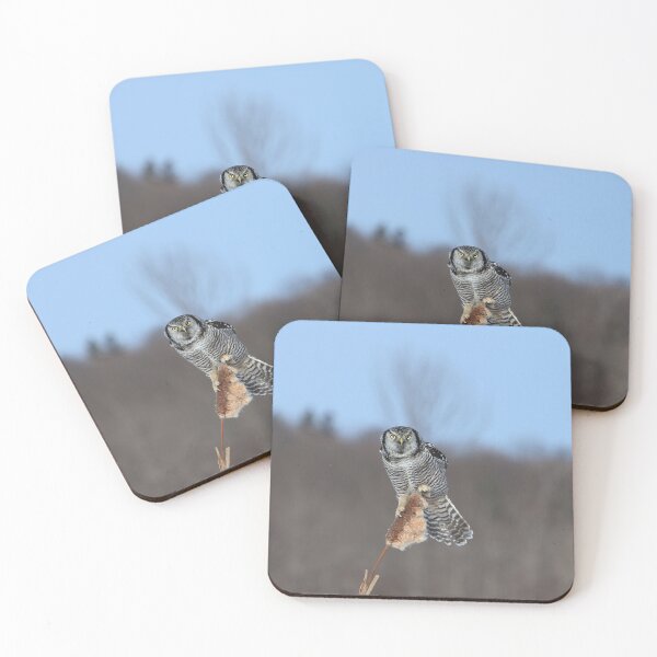 Item preview, Alert designed and sold by locustgirl.