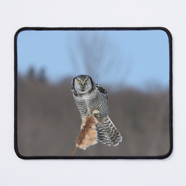 Item preview, Alert designed and sold by locustgirl.