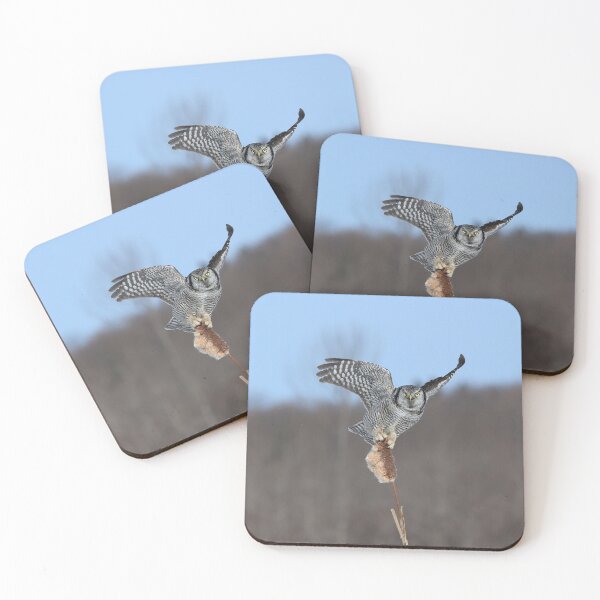 Item preview, Half hawk half owl designed and sold by locustgirl.