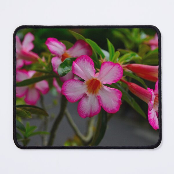 Item preview, Pink Flowers designed and sold by pracha.