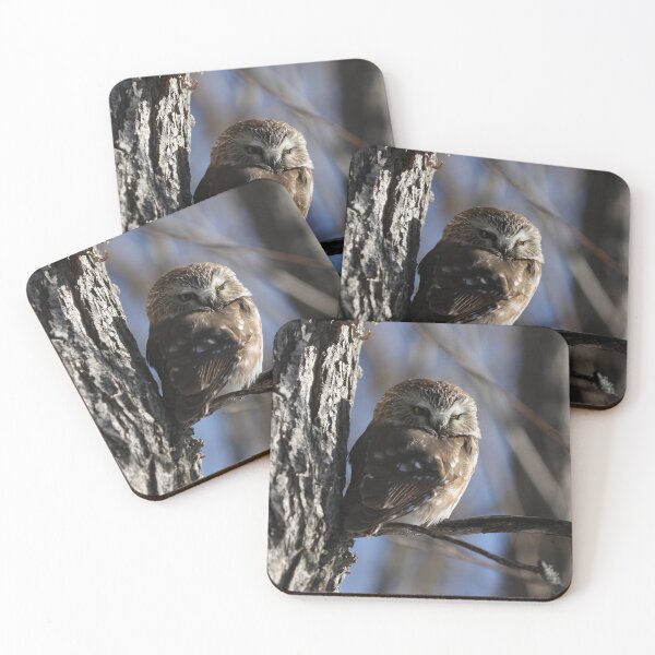 Item preview, Saw whet owl designed and sold by locustgirl.
