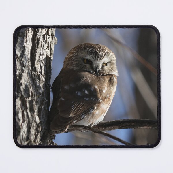 Item preview, Saw whet owl designed and sold by locustgirl.