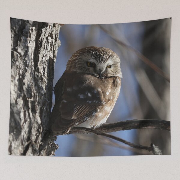 Item preview, Saw whet owl designed and sold by locustgirl.