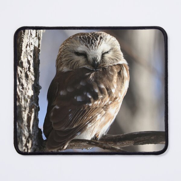 Item preview, Sleepy saw whet owl designed and sold by locustgirl.