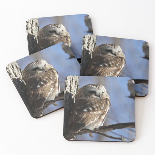 Item preview, Little saw whet owl designed and sold by locustgirl.