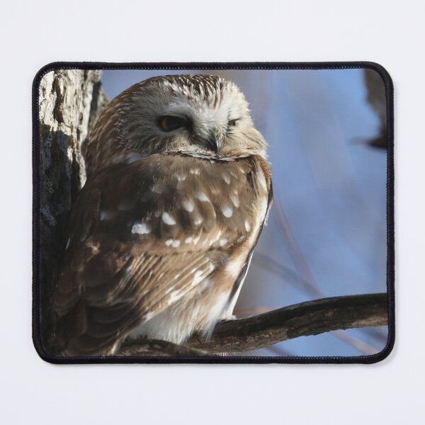 Item preview, Little saw whet owl designed and sold by locustgirl.