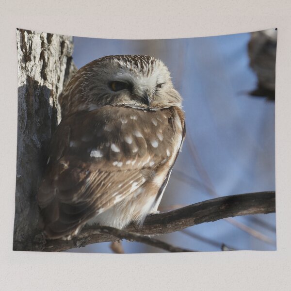 Item preview, Little saw whet owl designed and sold by locustgirl.