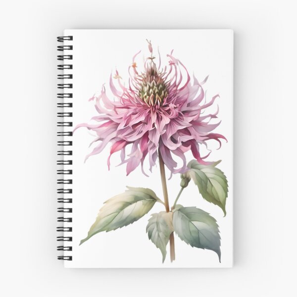 Item preview, Bee Balm Flower designed and sold by HOMETOWN86.
