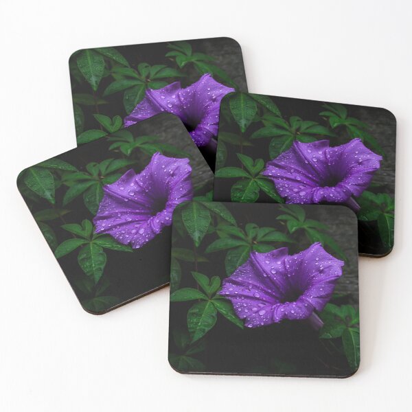 Item preview, Morning Glory designed and sold by Keith's Photo Artistry.