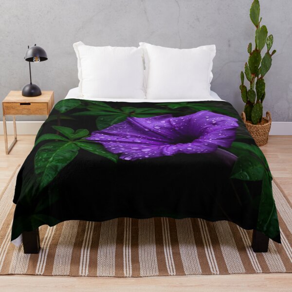 Item preview, Morning Glory designed and sold by Keith's Photo Artistry.