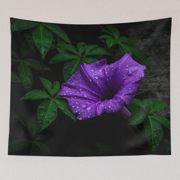 Item preview, Morning Glory designed and sold by Keith's Photo Artistry.