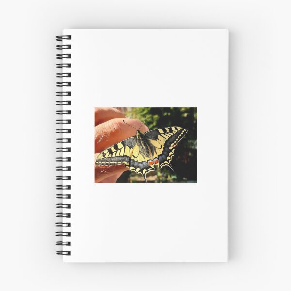 Item preview, butterfly designed and sold by América A  Ozuna.