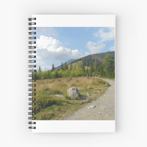 Item preview, Summer landscape in Tatra Mountains, Poland. designed and sold by lusiakotowska.