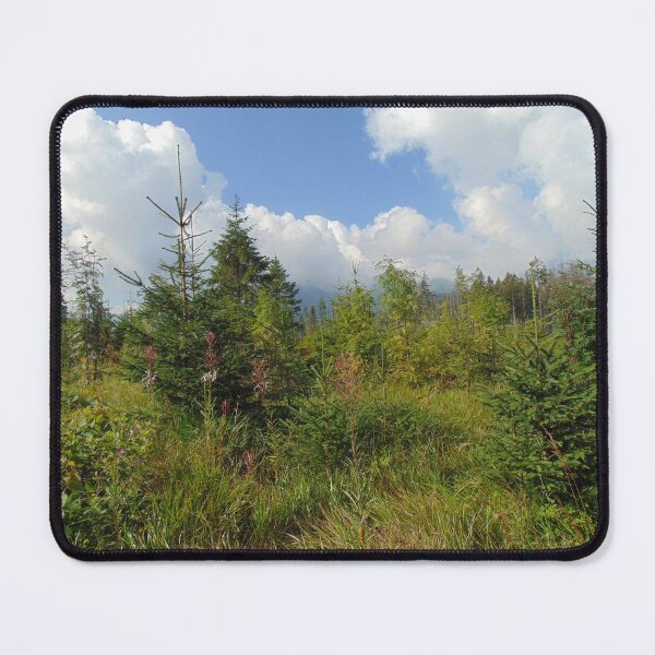 Item preview, Summer landscape in Tatra Mountains, Poland. designed and sold by lusiakotowska.
