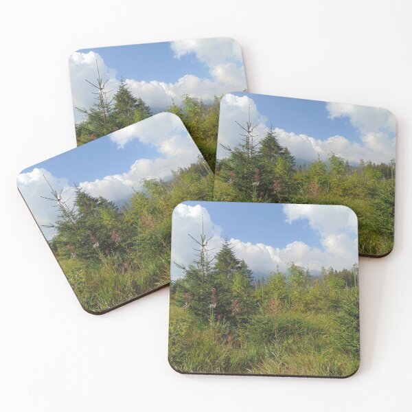 Item preview, Summer landscape in Tatra Mountains, Poland. designed and sold by lusiakotowska.