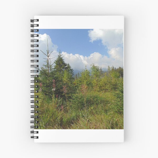 Item preview, Summer landscape in Tatra Mountains, Poland. designed and sold by lusiakotowska.