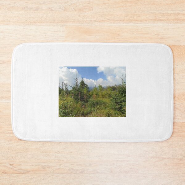 Item preview, Summer landscape in Tatra Mountains, Poland. designed and sold by lusiakotowska.
