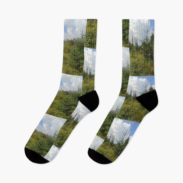 Item preview, Summer landscape in Tatra Mountains, Poland. designed and sold by lusiakotowska.