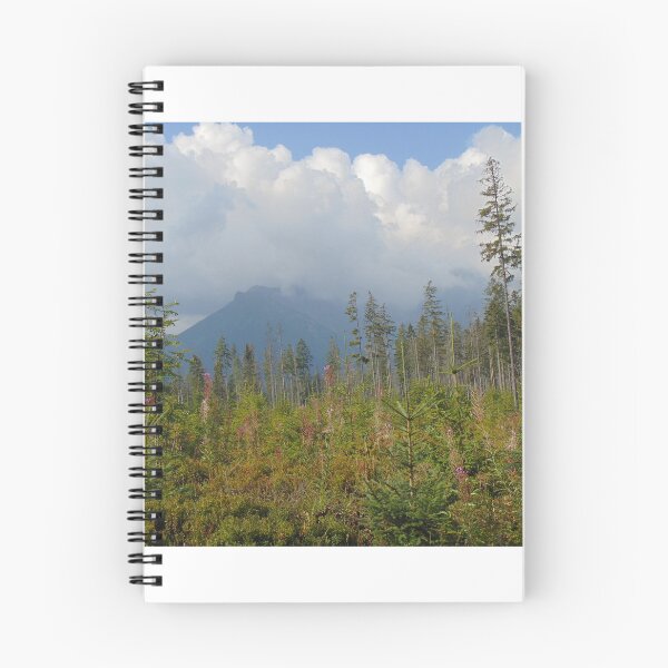 Item preview, Summer landscape in Tatra Mountains, Poland designed and sold by lusiakotowska.