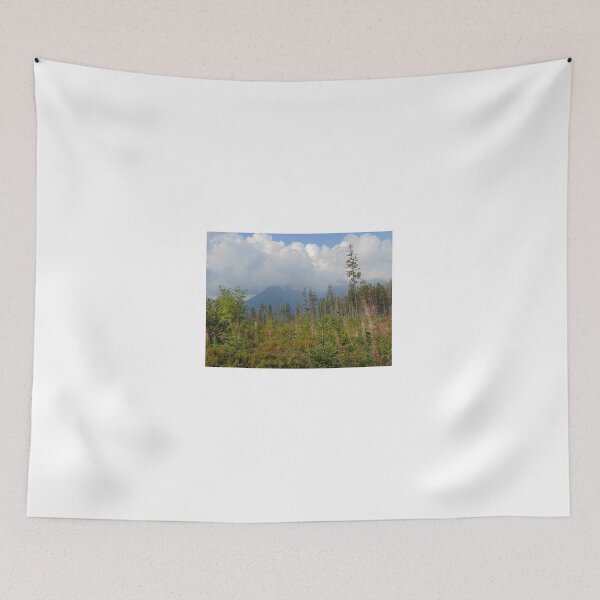 Item preview, Summer landscape in Tatra Mountains, Poland designed and sold by lusiakotowska.