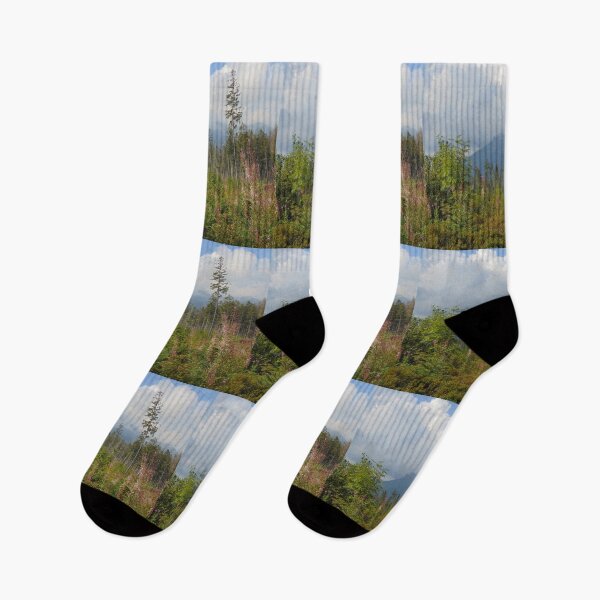 Item preview, Summer landscape in Tatra Mountains, Poland designed and sold by lusiakotowska.