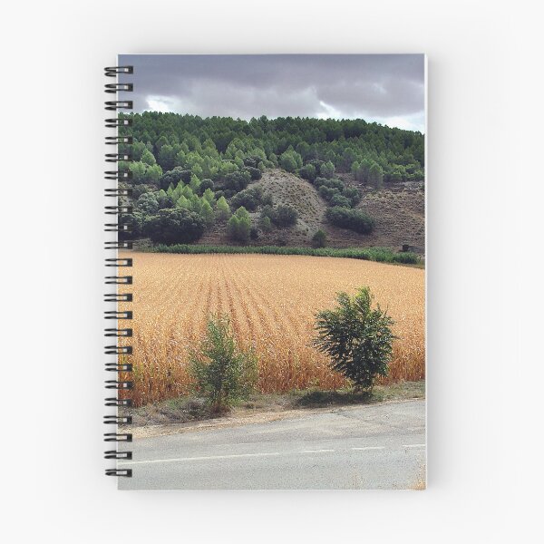 Item preview, Crop fields and road in Valdelaguna designed and sold by Luis J. de la Fuente.