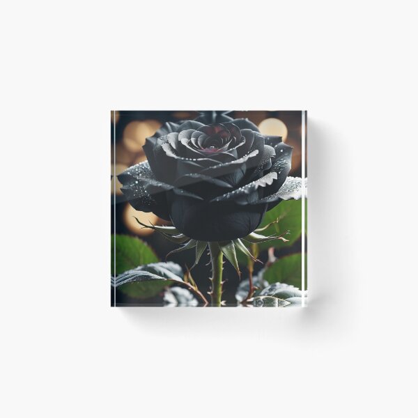 Item preview, Black Rose v4 designed and sold by sedyCompany.