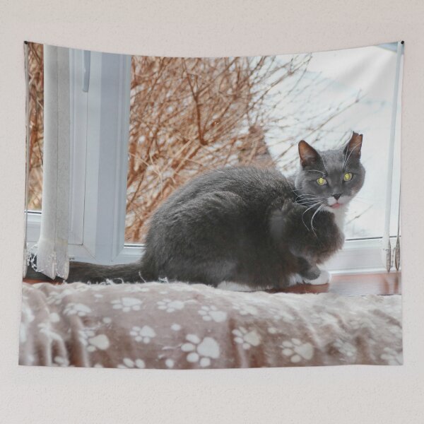 Item preview, Smokey Posing designed and sold by AnnDixon.