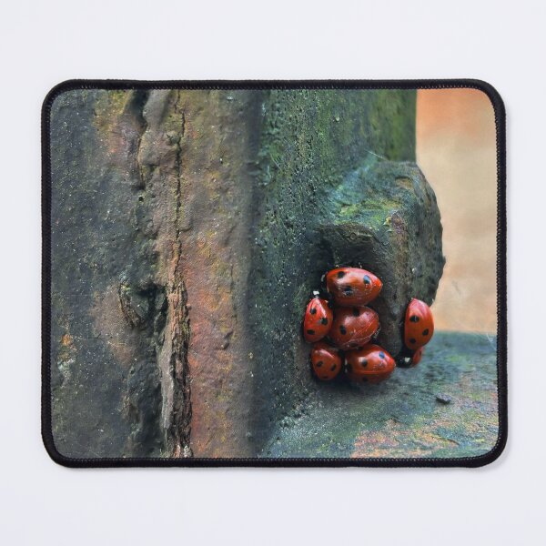 Item preview, Ladybugs #2 designed and sold by A.N.J.H..