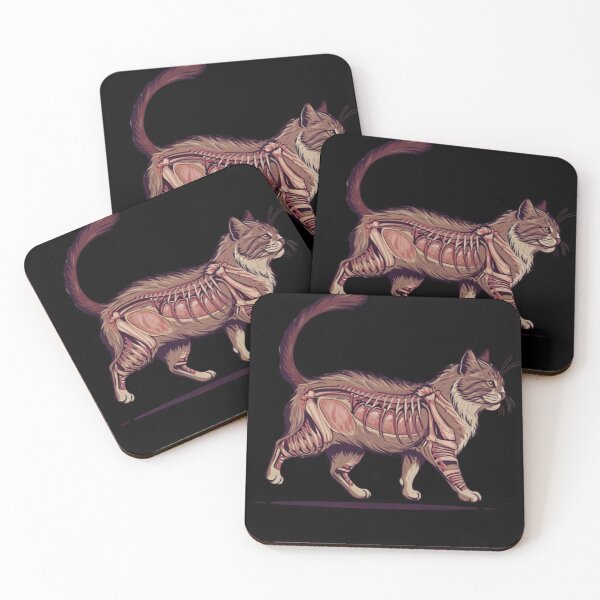Item preview, Cat Anatomy  designed and sold by JackAMM.