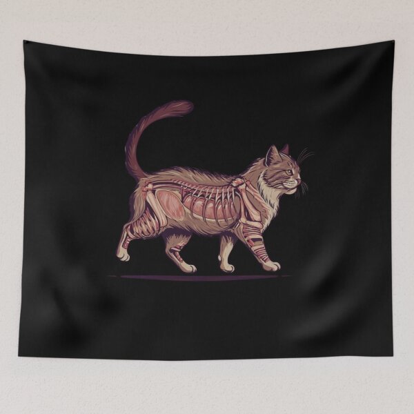 Item preview, Cat Anatomy  designed and sold by JackAMM.