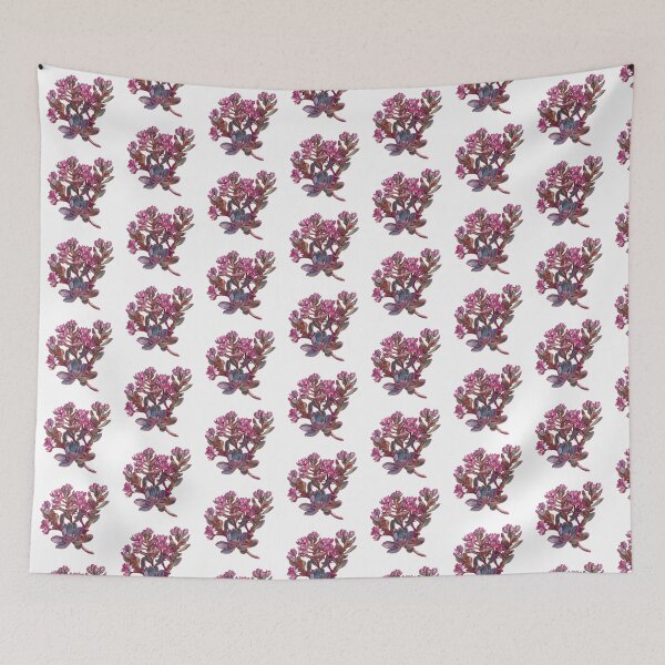 Item preview, Crassula A Popular Succulent Plant designed and sold by Artcurrents.