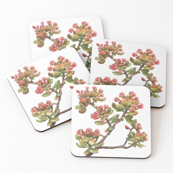 Item preview, Crassula A Unique and Interesting Plant designed and sold by Artcurrents.