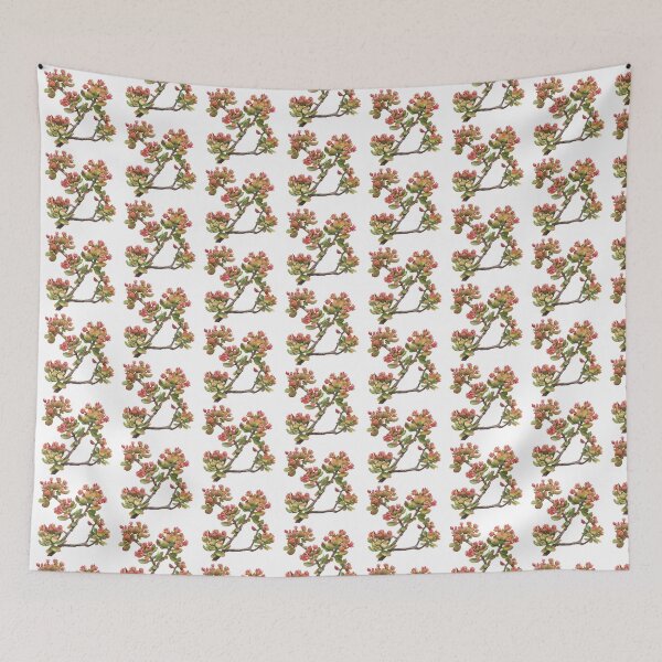 Item preview, Crassula A Unique and Interesting Plant designed and sold by Artcurrents.