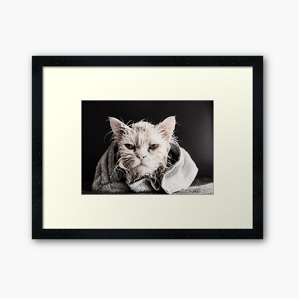 Item preview, Funny Grumpy Wet Cat After a Bath Wrapped in a Towel Photo designed and sold by Dee Dee.