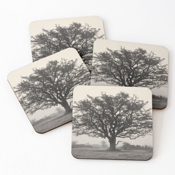 Aperçu de l'œuvre Arbre d'Exmoor créée et vendue par David Bowman.