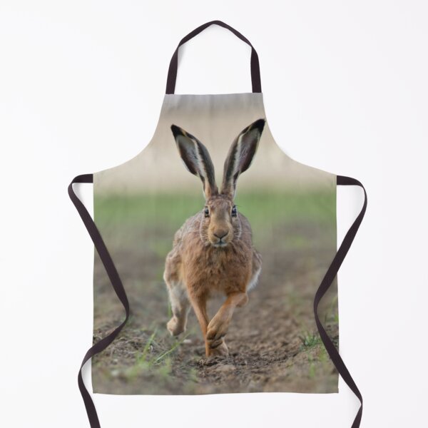 Item preview, Haring About designed and sold by BCD BRANDS.