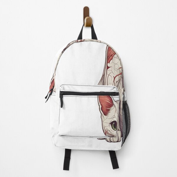 Item preview, Cute Cat Anatomy A Must-Have for Cat Lovers designed and sold by bbigbxss.