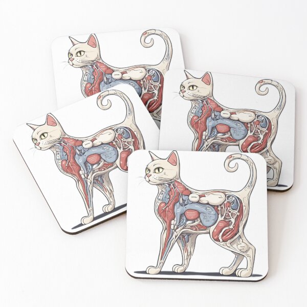 Item preview, Cat Anatomy Comes in USA theme designed and sold by bbigbxss.