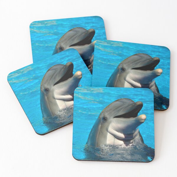 Item preview, Bottlenose dolphin head Latin name Tursiops truncatus designed and sold by Peter Etchells.