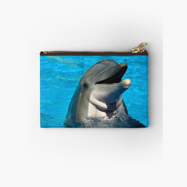 Item preview, Bottlenose dolphin head Latin name Tursiops truncatus designed and sold by Peter Etchells.