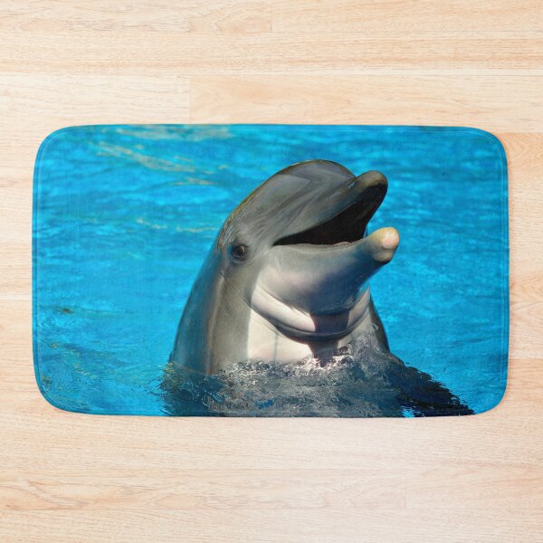 Item preview, Bottlenose dolphin head Latin name Tursiops truncatus designed and sold by Peter Etchells.