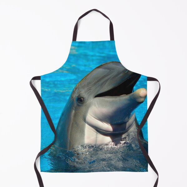 Item preview, Bottlenose dolphin head Latin name Tursiops truncatus designed and sold by Peter Etchells.