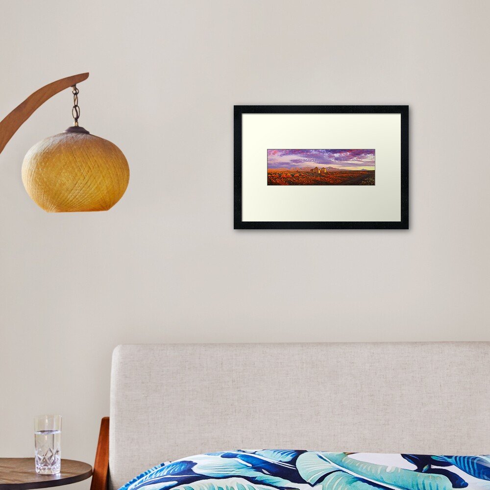 Settler's Ruin, Flinders Ranges, South Australia Framed Art Print
