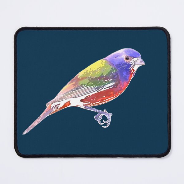 Item preview, Painted Bunting White Alternate Design designed and sold by designsasstultd.