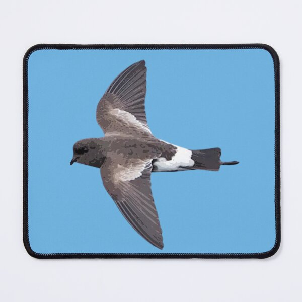 Item preview, Wilson's Storm Petrel Color Design designed and sold by designsasstultd.