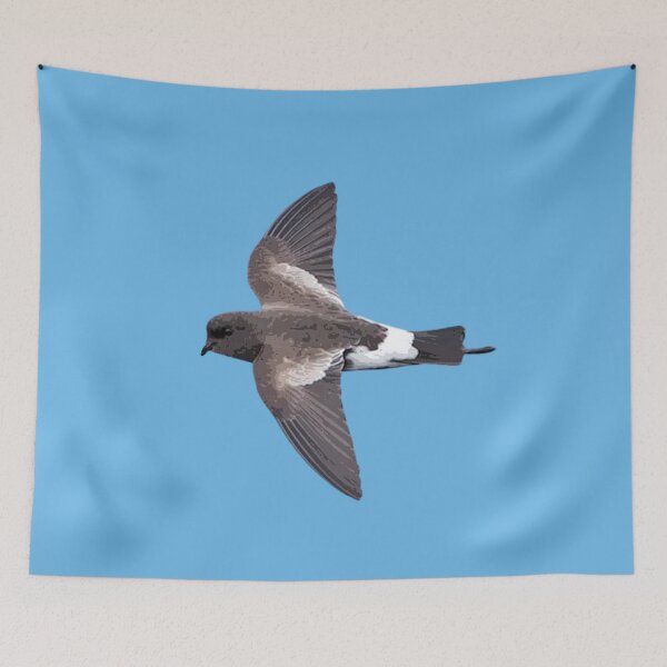 Item preview, Wilson's Storm Petrel Color Design  designed and sold by designsasstultd.