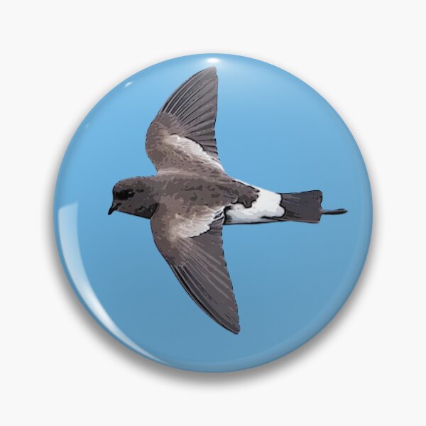 Item preview, Wilson's Storm Petrel Black Alternate Design  designed and sold by designsasstultd.